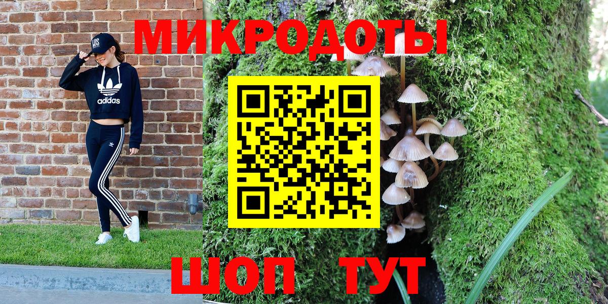Псилоцибиновые грибы Psilocybe  Вход с VPN  Бор 