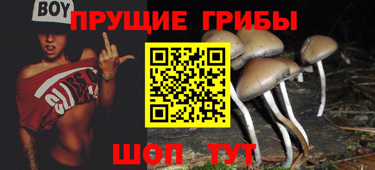 Псилоцибиновые грибы мухоморы Бор
